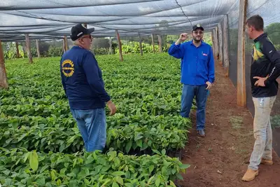 notícia: Pará sedia evento nacional sobre insumos agropecuários